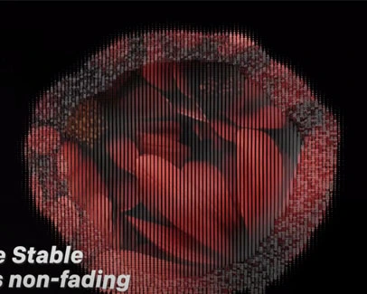 G4F Video with Texts