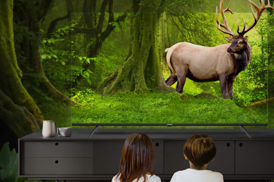 EYE CARE (5.0) CARING FOR EYES, CARING You